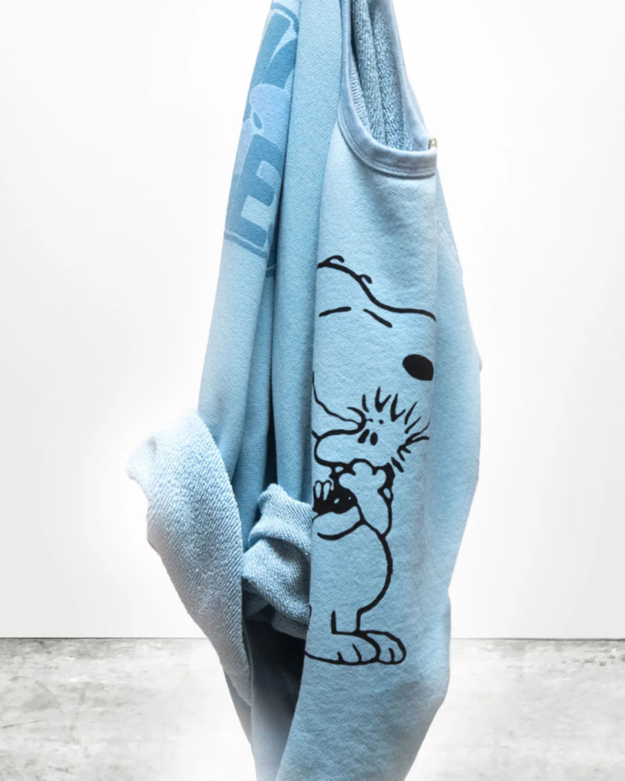 BasicGoodness Schulz Raglan - Image 2