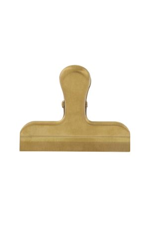 Stainless Steel Clip