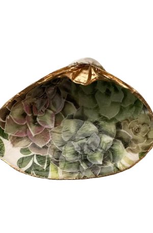 Serenity Shells