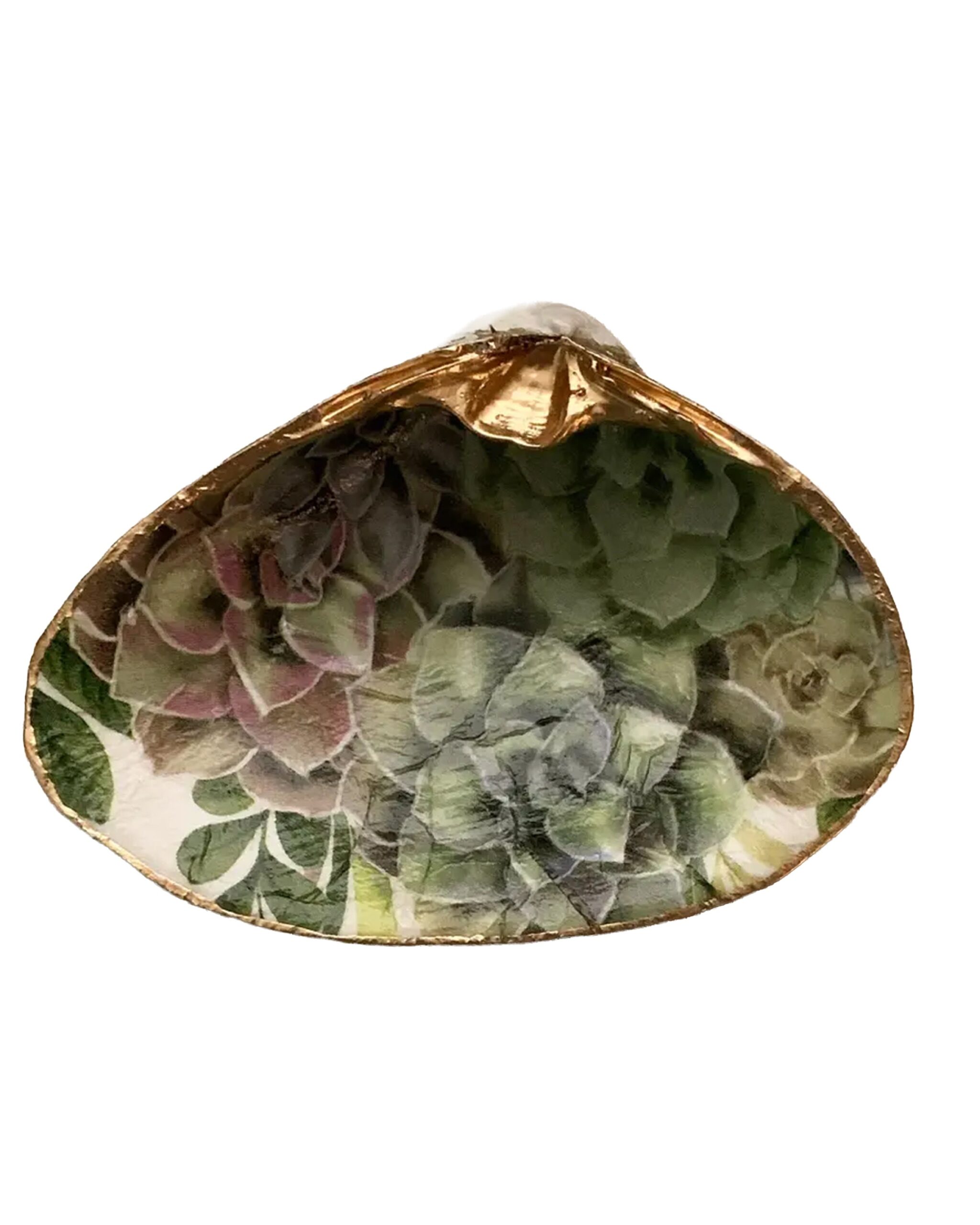 Serenity Shells