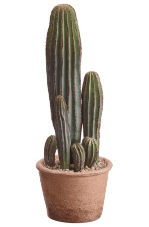 COLUMN CACTUS 15.5″