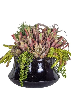 Tulip Planter