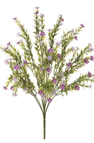 WaxFlower Bush